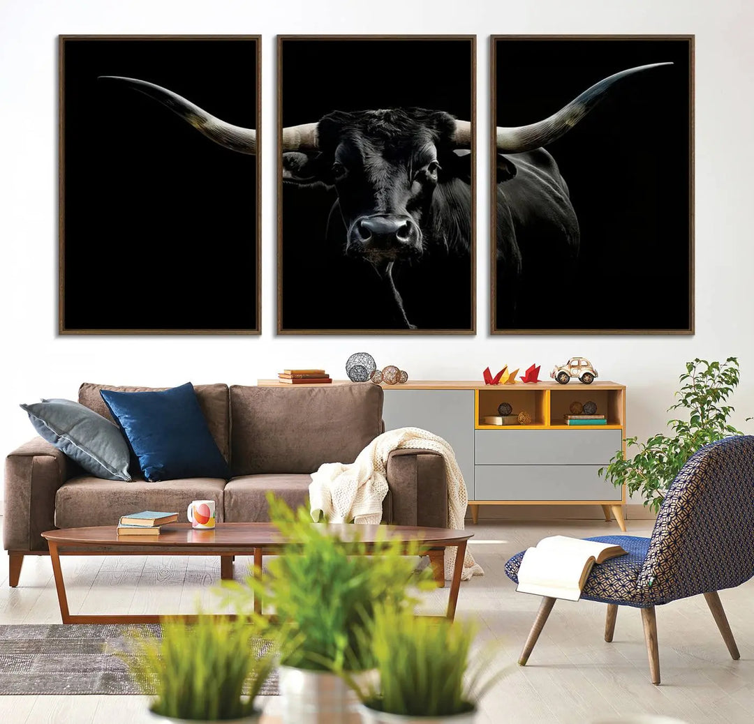 A captivating close-up canvas print of a Texas Black Longhorn with impressive curved horns set against a dark backdrop, ideal as a standout piece in your collection of Longhorn Cow Wall Art.