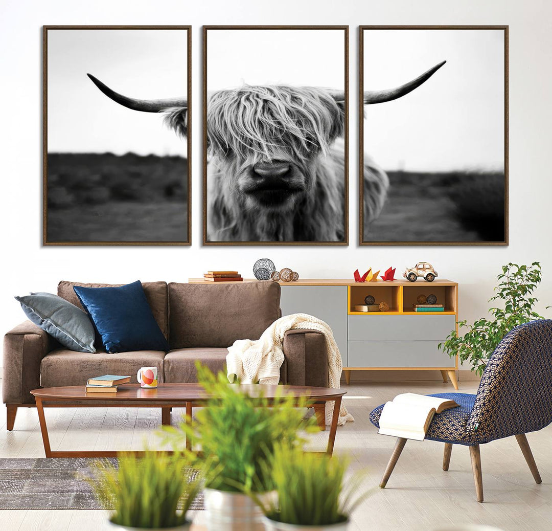 The Highland Cow Wall Art, a black and white farmhouse decor piece showcased as a triptych canvas print, graces a dark wall with its long-haired Scottish Highland cattle art print exuding rustic barn aesthetic.