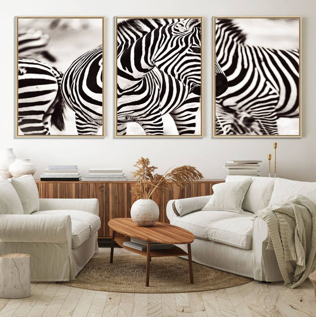 The Brilliant Zebra Photography Art Canvas Print hangs prominently on the wall.