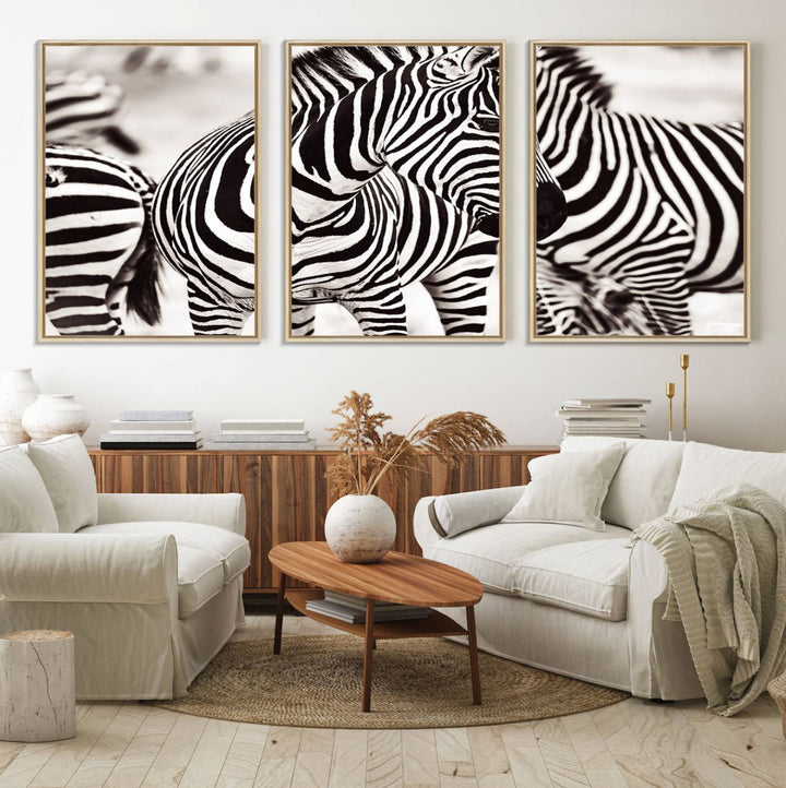 The Brilliant Zebra Photography Art Canvas Print hangs prominently on the wall.