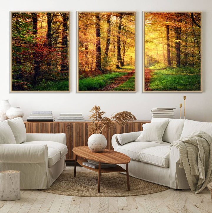 The Sunlight Through Trees Wall Art Canvas Print showcases a sunlit autumn forest and includes UV protection to ensure lasting vibrance.