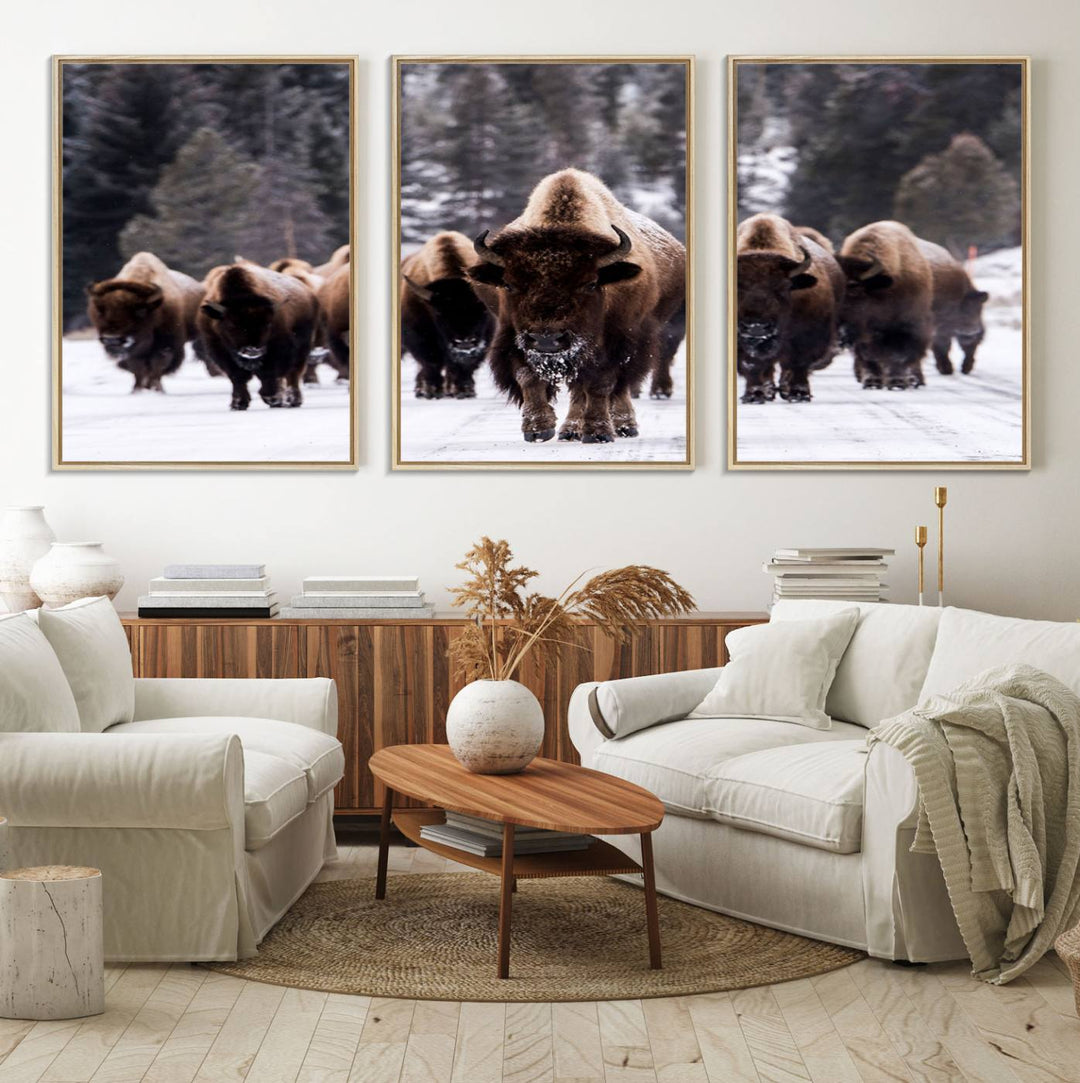 Bison Herd Canvas Wall Art.