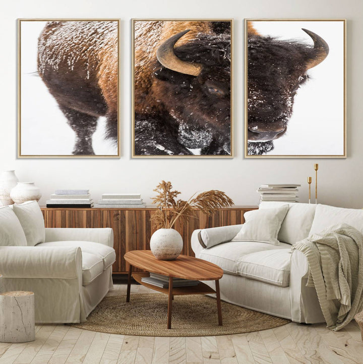 Bison Wall Art Canvas.