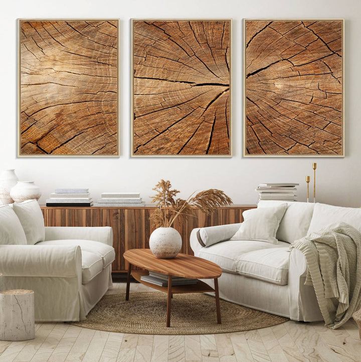 Tree Ring Canvas Art decorates a textured wall.