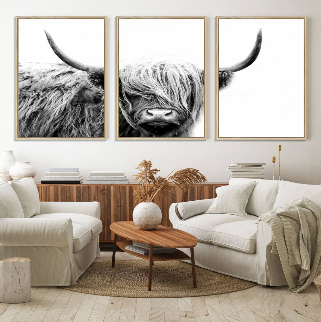 Framed Black and White Scottish Highland Cow Art Print.