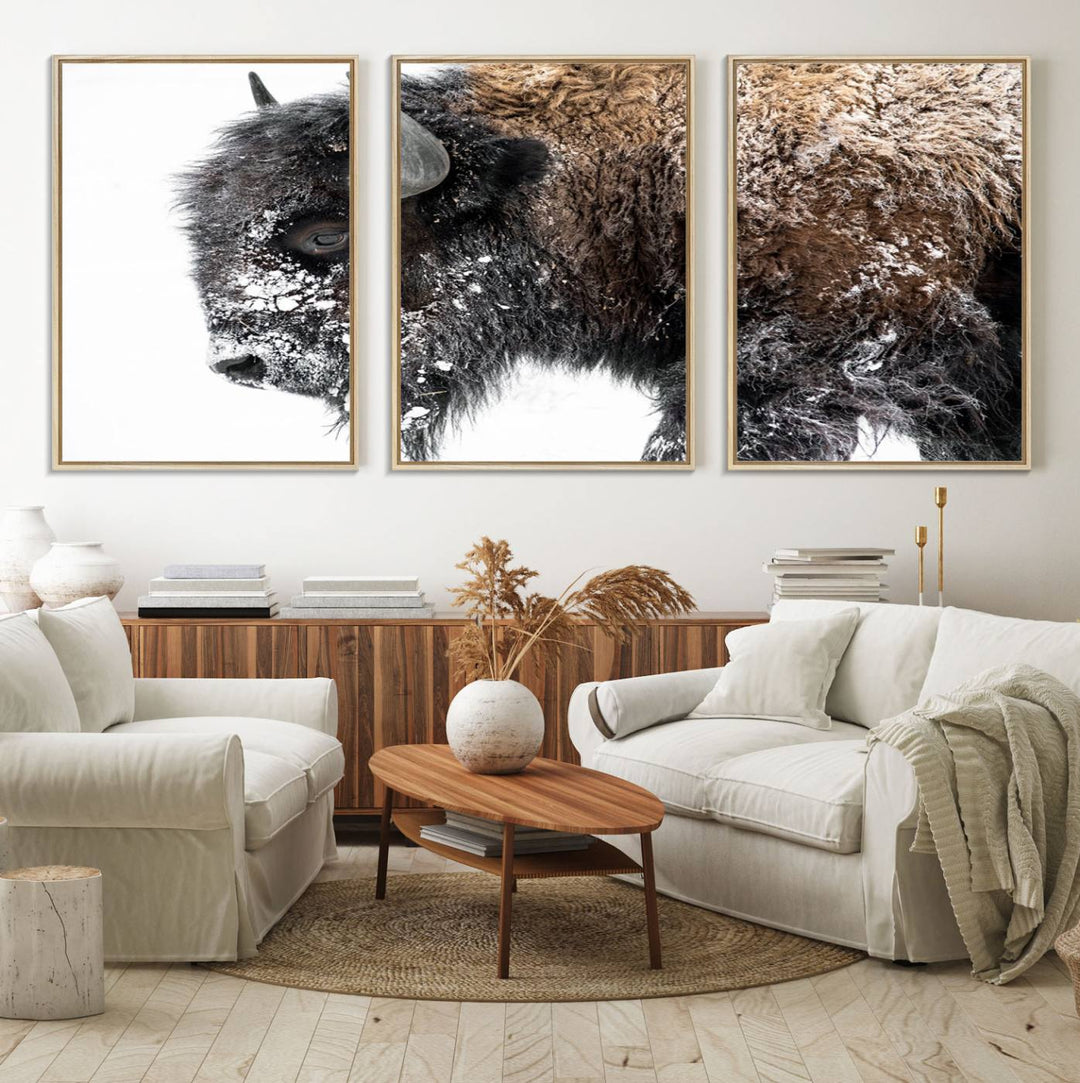 The American Bison Wall Art Print is prominently displayed on the wall.