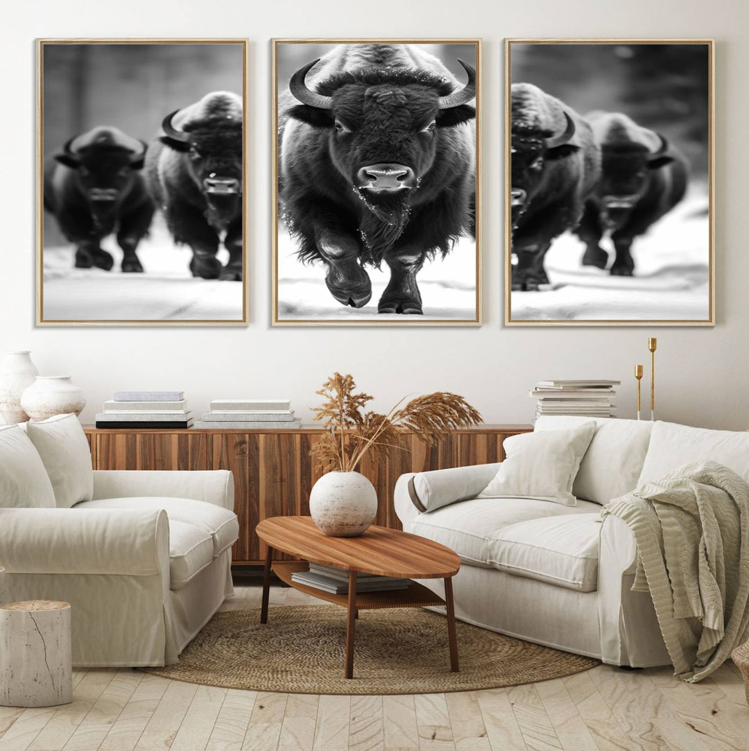 A black and white American Bison herd canvas print adorns the wall.