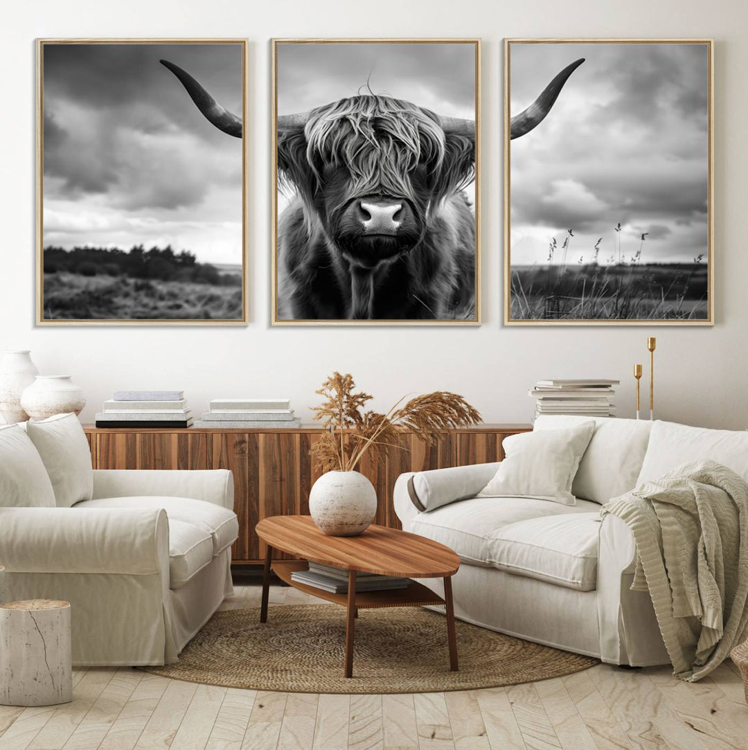 A large Scottish Cow Wall Art Canvas Print hangs on the wall.