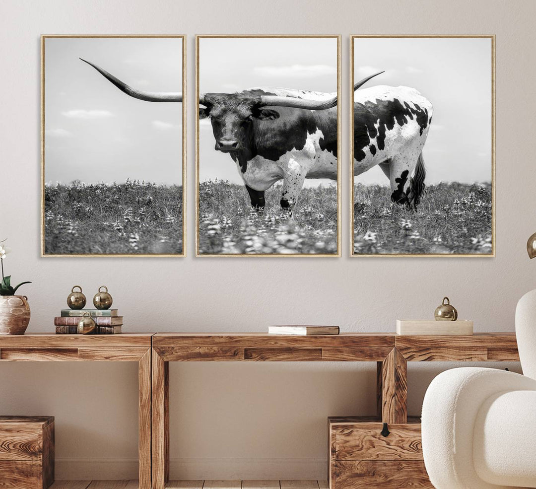 Texas Black White Highland Longhorn Cow Wall Art Canvas displayed on the wall.