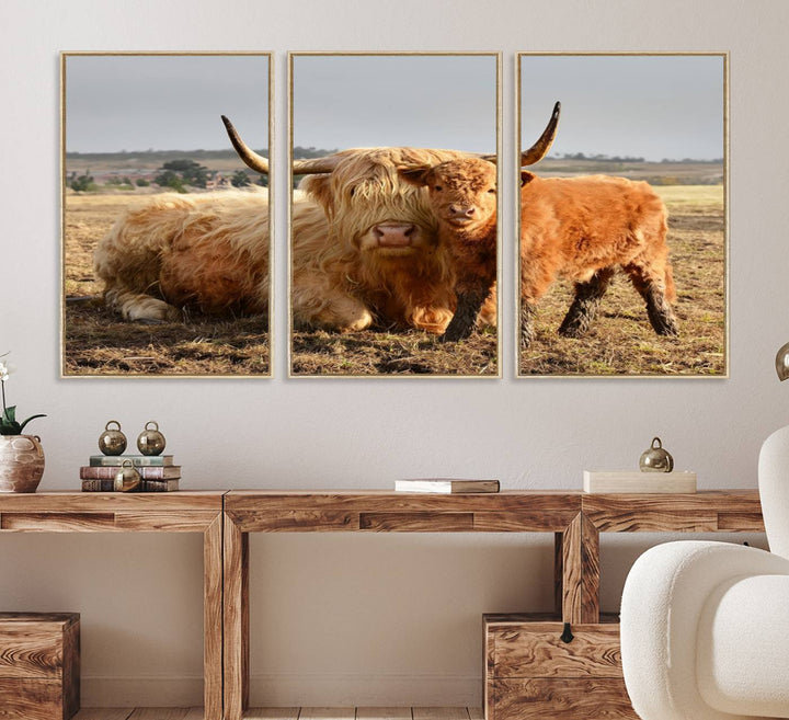 Highland Cow Canvas: a light brown cow and calf in the field, ideal farmhouse decor.