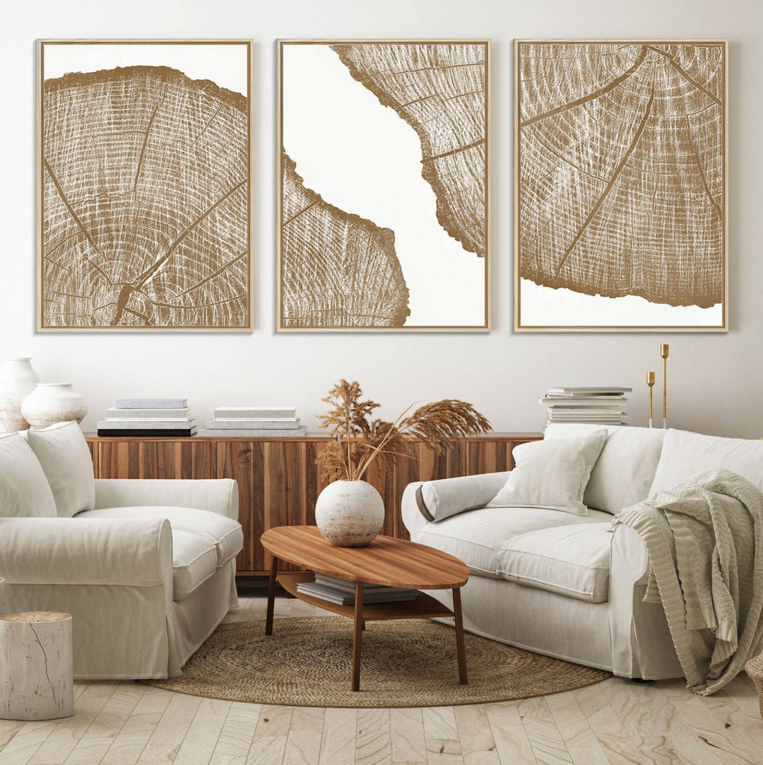 The rustic wall art features two large tree rings, beautifully framed and displayed to create a nature-inspired décor.