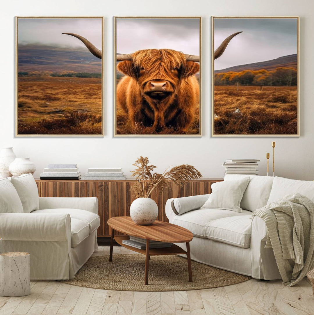 Highland Cow Longhorn Canvas Print, framed, on a wooden wall.