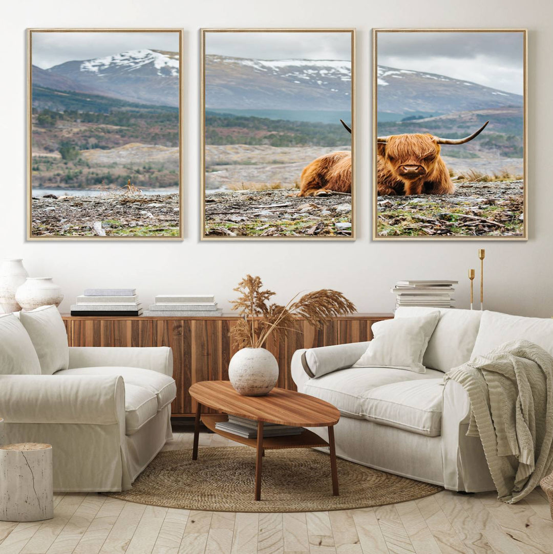 Highland Cow Horn Farm Wall Art Canvas Print is displayed against a wooden wall featuring a mountainous backdrop.