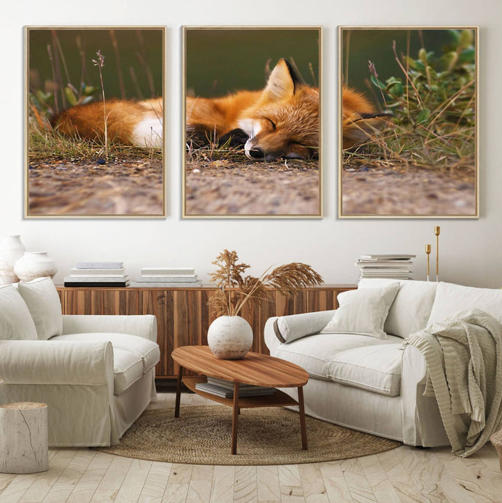 The Sleeping Fox Wall Art Canvas Print is ideal for farmhouse decor.