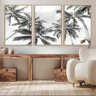 Edit-Images-Black and White Palm Tree Wall Art – Monochrome Tropical Canvas Print for Coastal or Minimalist Living Room Decor