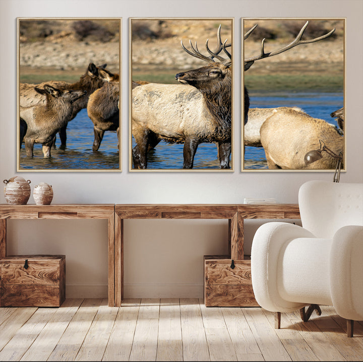 Group of elk standing in shallow water with dry rocky terrain in the background, showcasing wildlife in a natural setting for rustic decor.