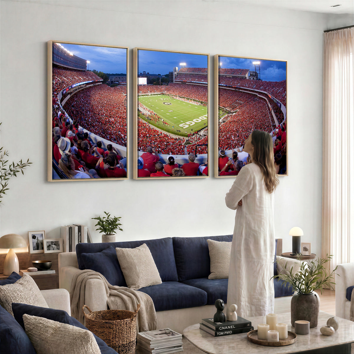 10244378-MGV-CV-36X24 - Dooley Stadium Wall Art, Sports Arena Canvas Print, Dooley Field, Home Bar Wall Decor