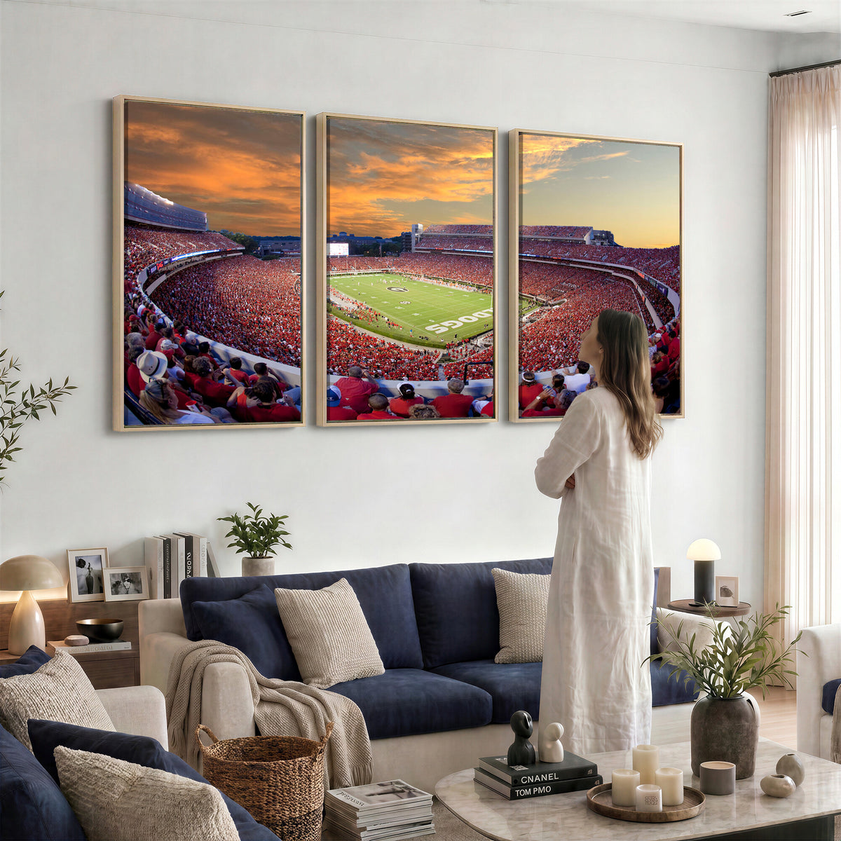 73680988-MGV-CV-36X24 - Dooley Stadium Wall Art, Sports Arena Canvas Print, Dooley Field, Framed and Ready to Hang