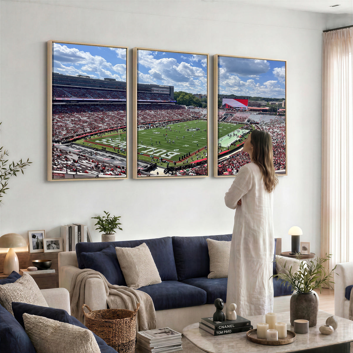 10665453-MGV-CV-36X24 - Georgia Bulldogs Stadium Wall Art Canvas Print, Sanford, Framed and Ready to Hang