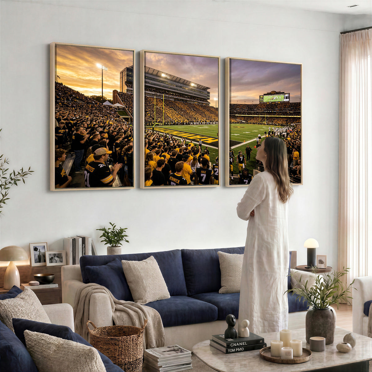 60847729-MGV-CV-36X24 - Stadium Wall Art Canvas Print
