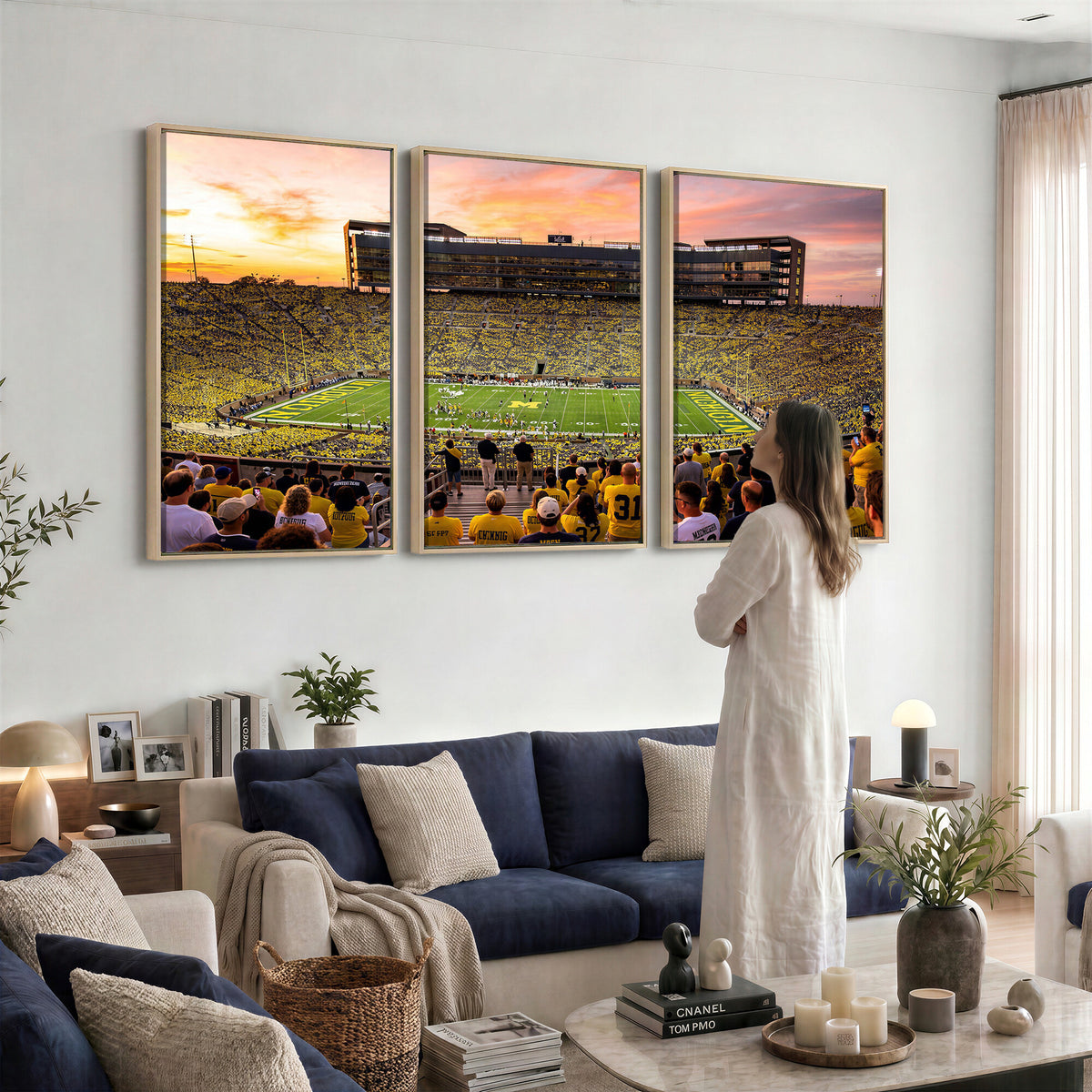 27265223-MGV-CV-36X24 - Stadium Wall Art Canvas Print