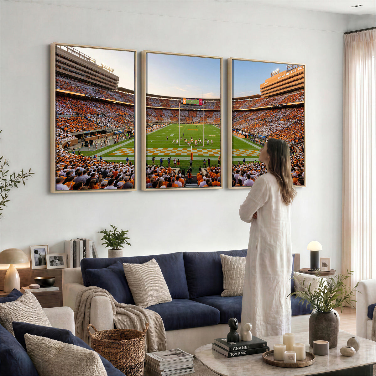74509135-MGV-CV-36X24 - Stadium Wall Art Canvas Print