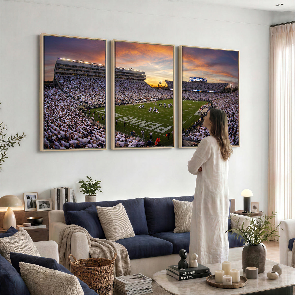 37485833-MGV-CV-36X24 - Stadium Wall Art Canvas Print