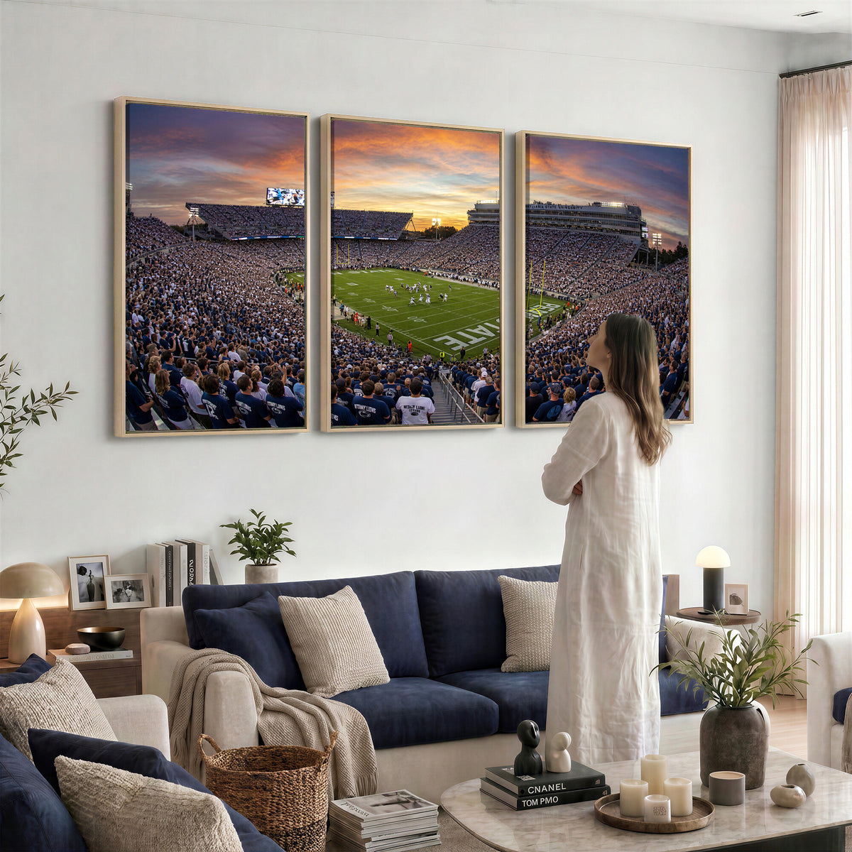 29008668-MGV-CV-36X24 - Stadium Wall Art Canvas Print