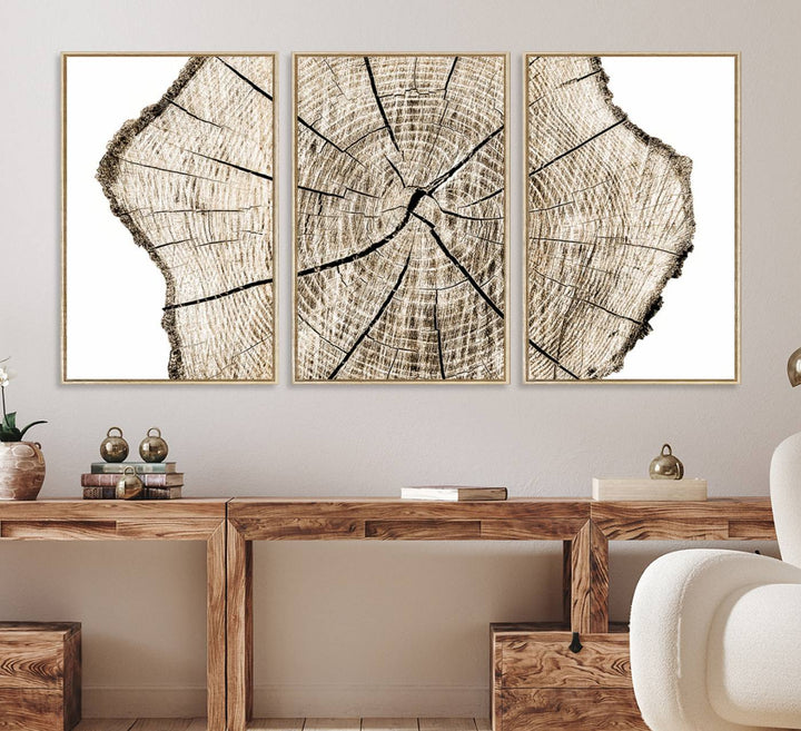 The Abstract Wood Tree Ring Wall Art set of 3 adds a minimalist touch to the space.