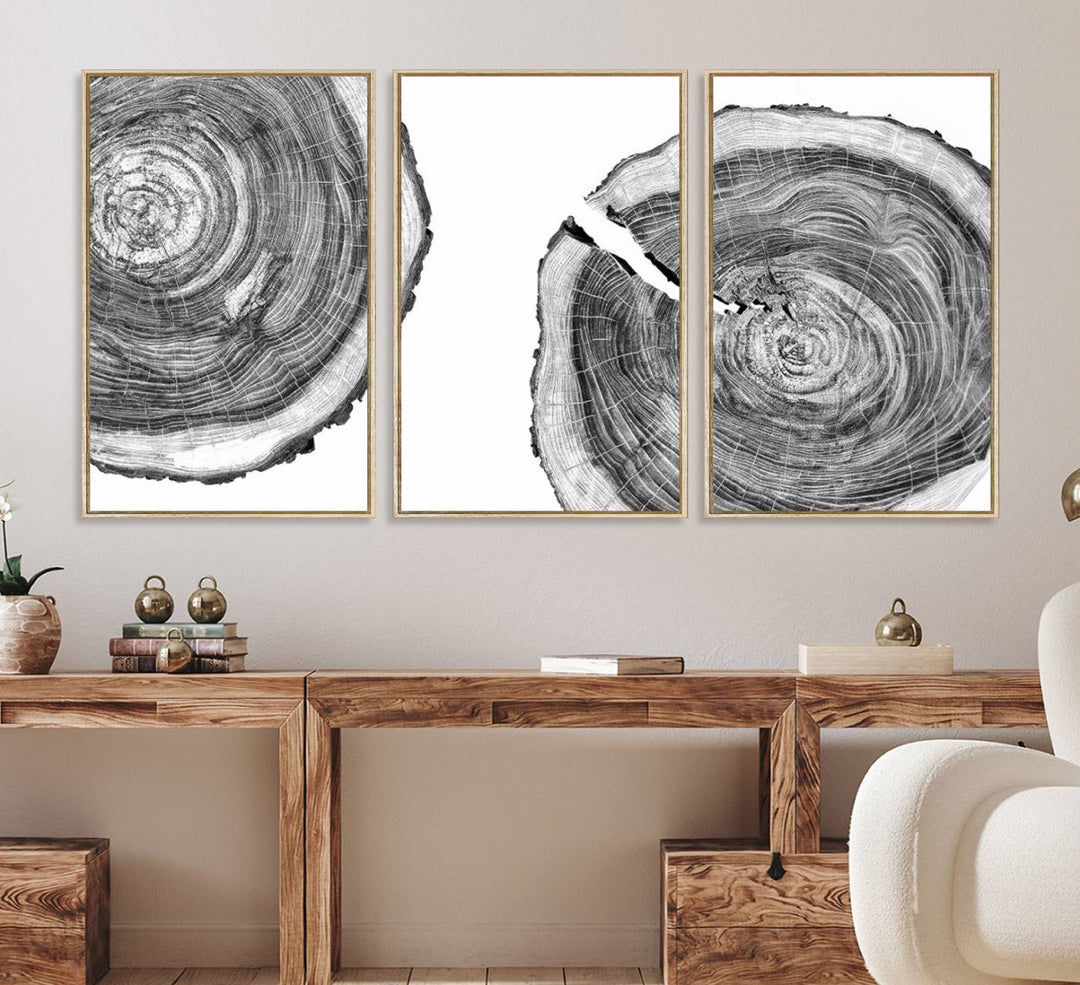 The modern black and white tree rings canvas art adds minimalist geometric decor with nature inspiration.