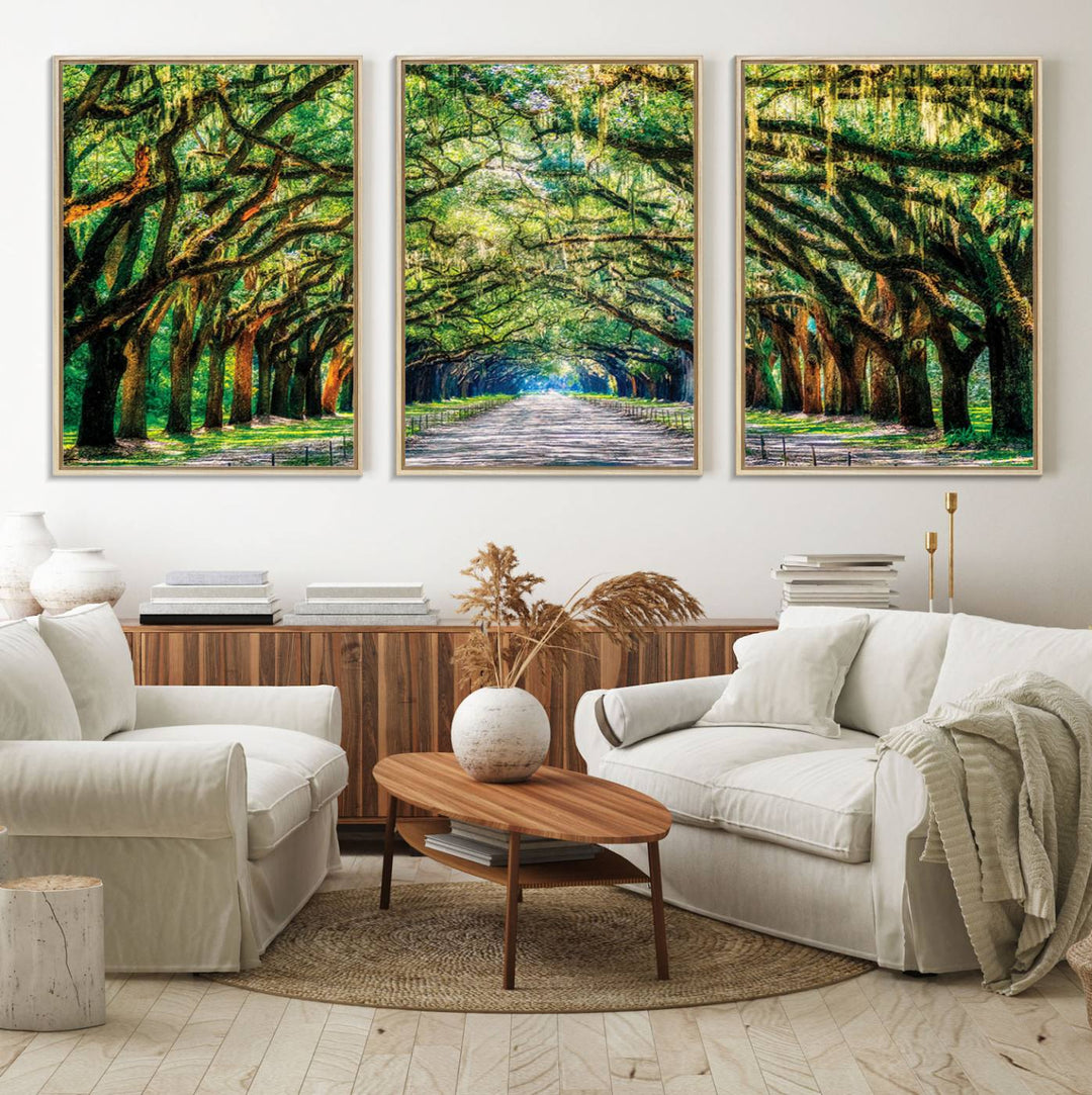 The Serene Tree Tunnel Canvas Print decorates the wall.