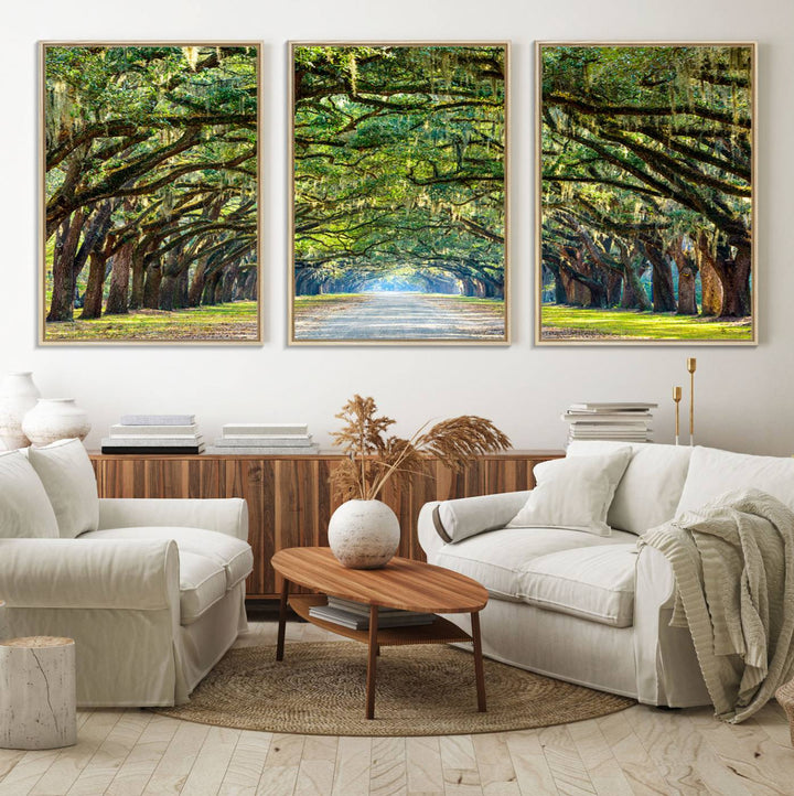 Wormsloe State Plantation Driveway Wall Art shines with Southern charm.