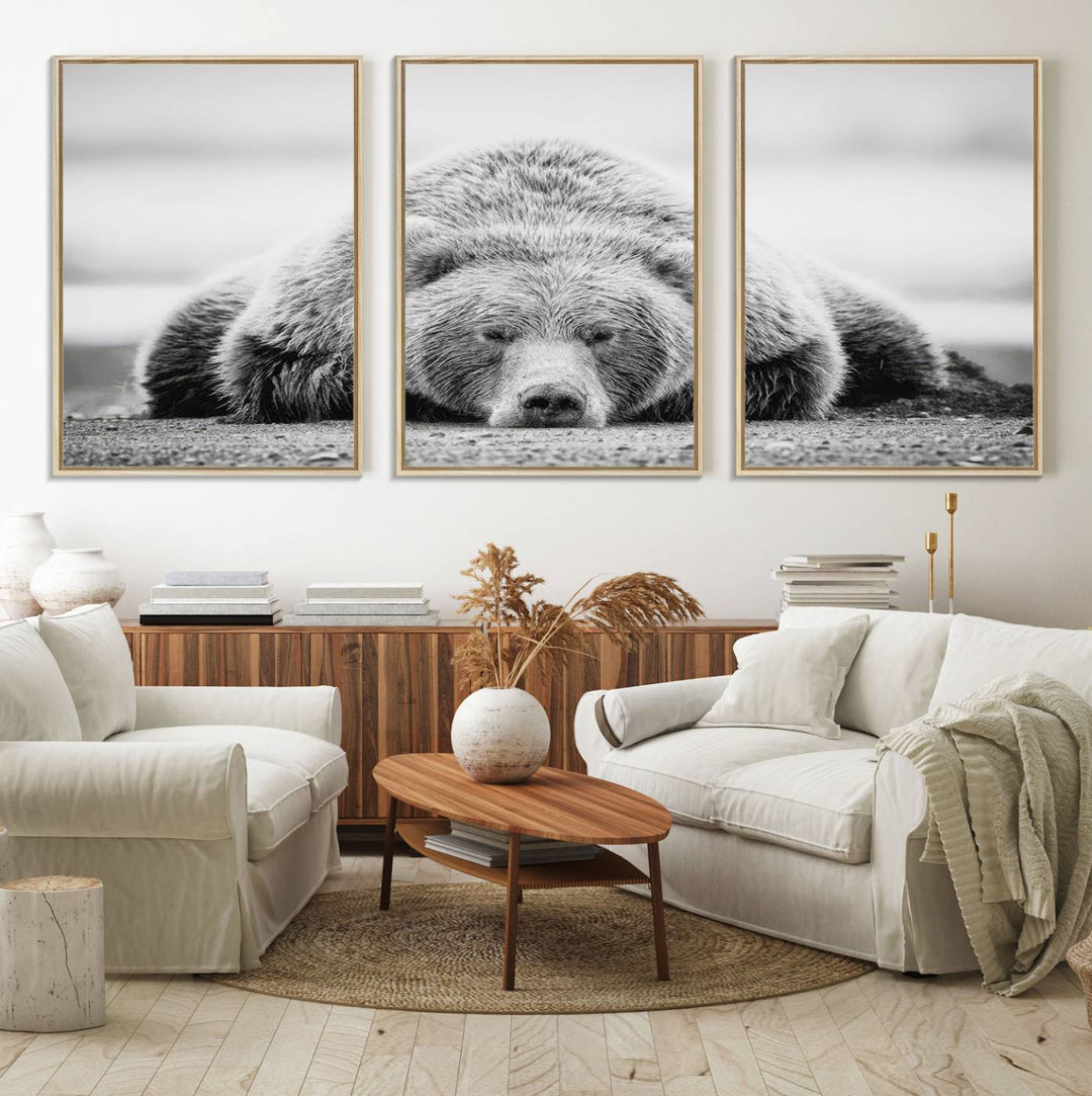 Resting Grizzly Bear wall art displayed in a modern room.