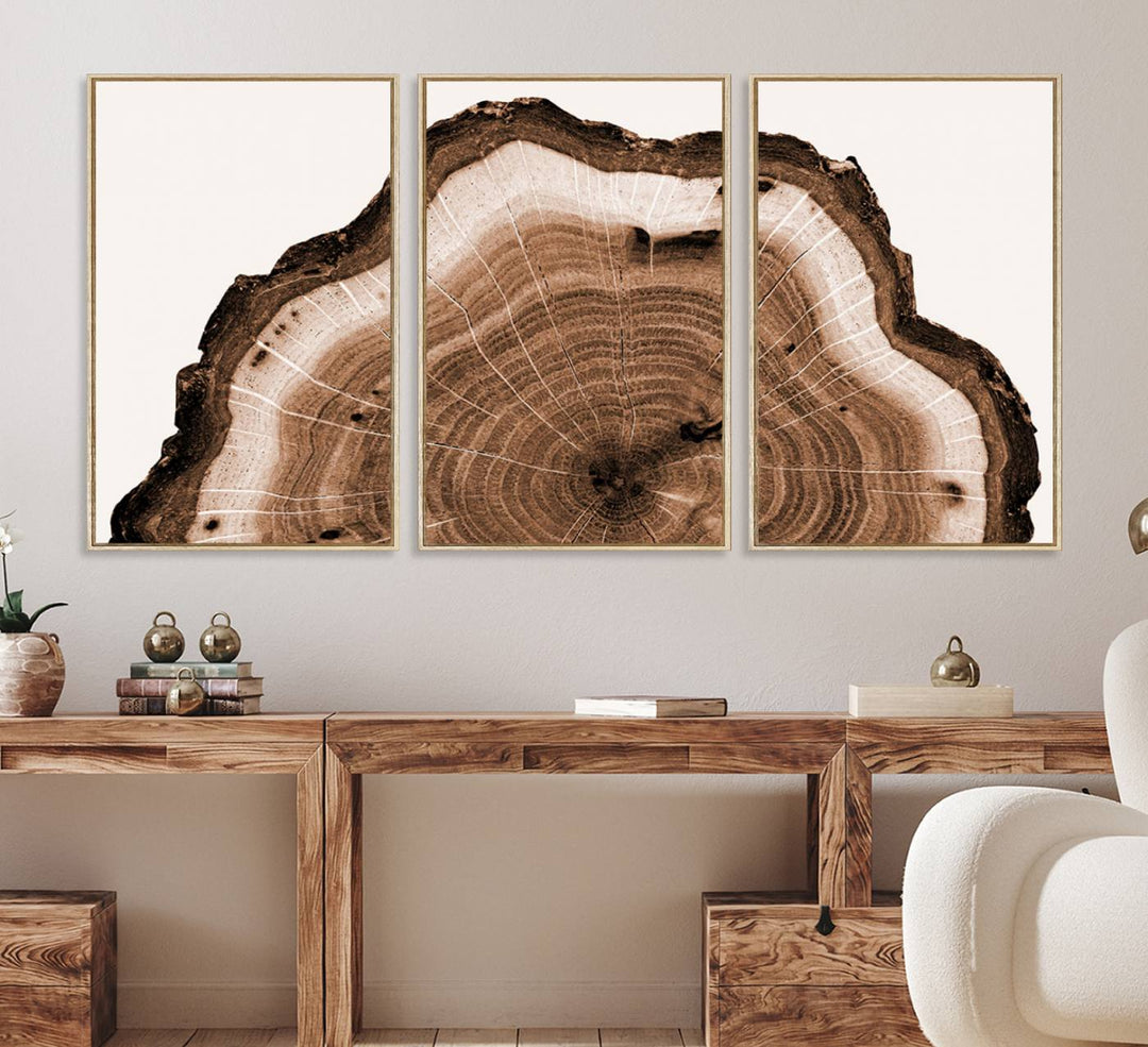 Close-up of the Rustic Wood Rings Wall Art featuring detailed tree rings and natural texture on a plain white background.