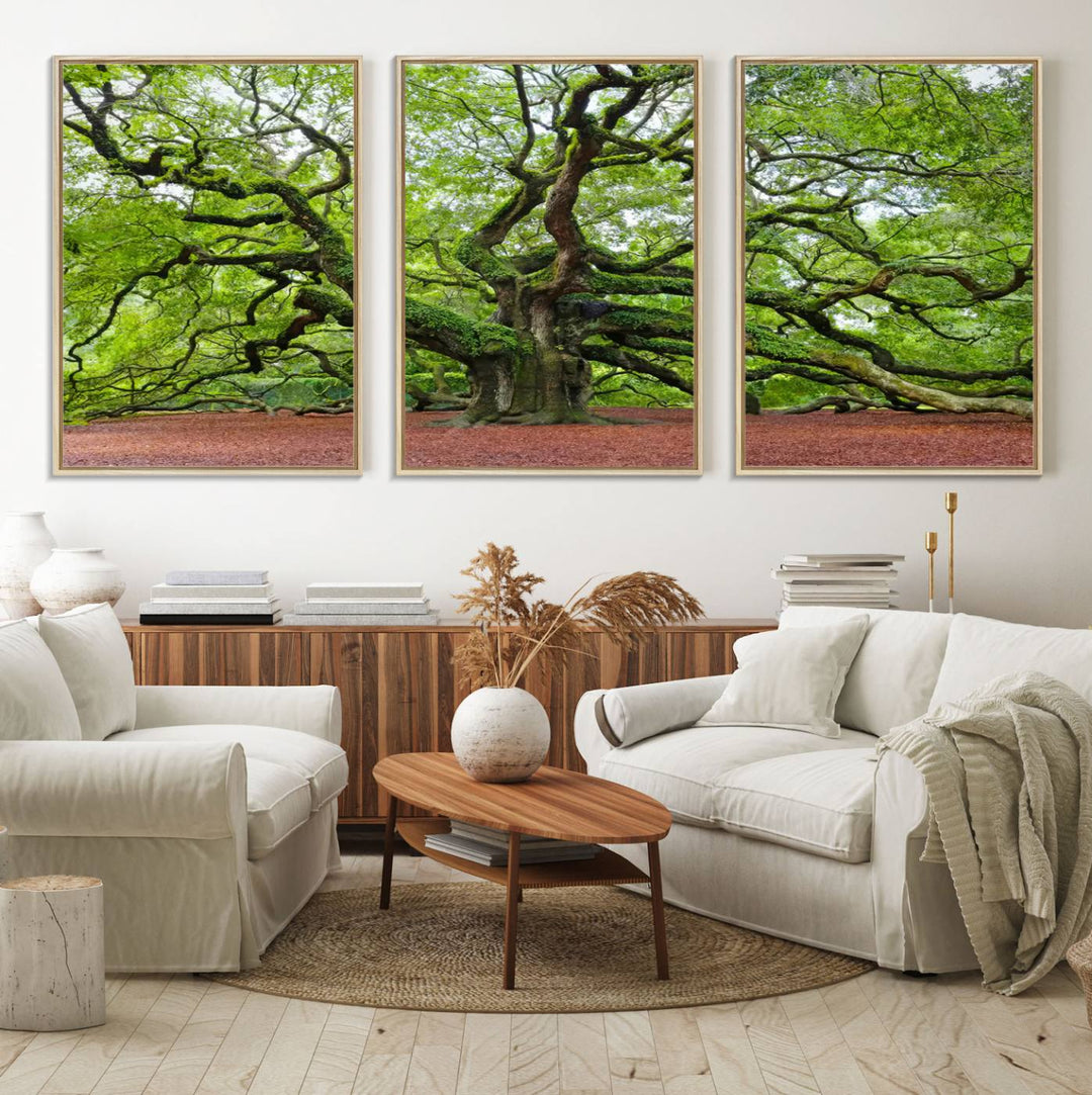 Framed Angel Oak Tree Wall Art: Large 3-panel green nature canvas, ready to hang.