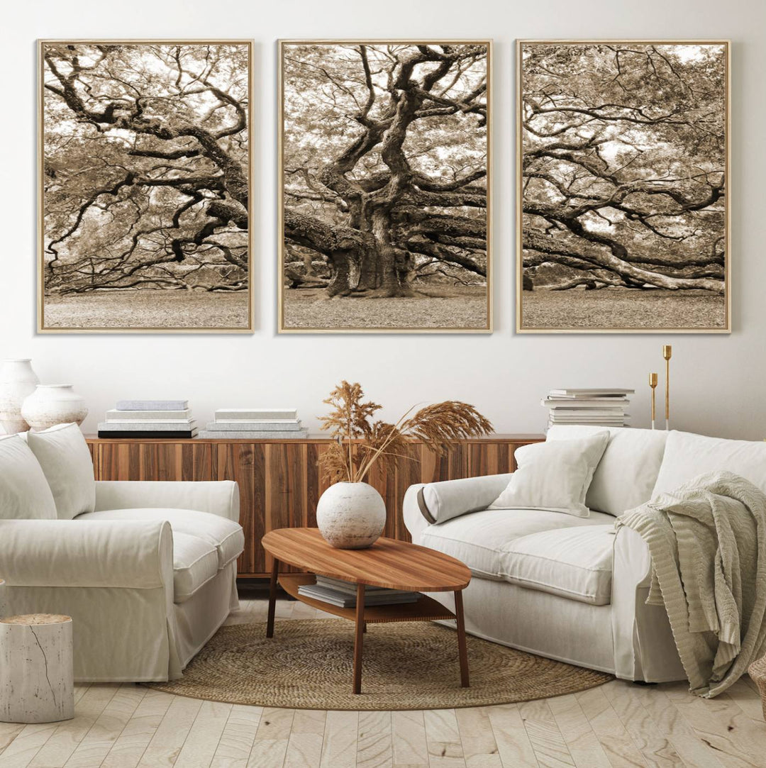 Displayed on the wall is a Sepia-framed Angel Oak Tree 3-panel canvas.