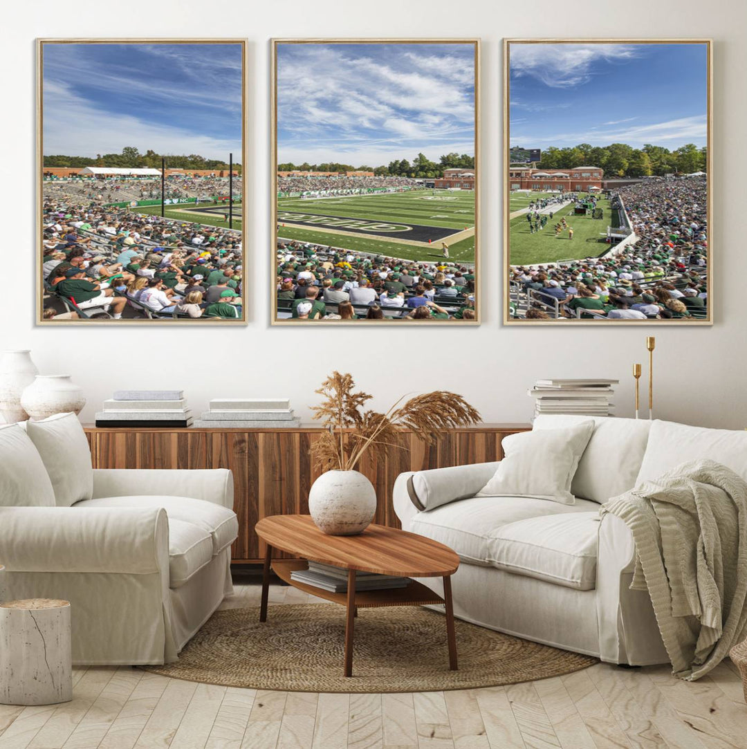 The University of Charlotte 49ers stadium print adds flair to a modern living room wall with its vibrant scene and clear sky.