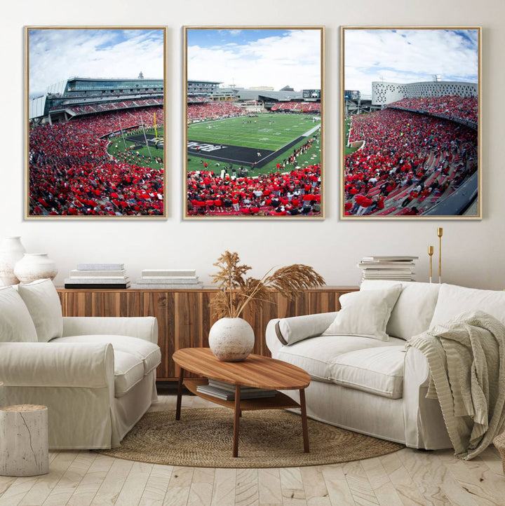 The wall showcases a Nippert Stadium canvas print of the Cincinnati Bearcats.