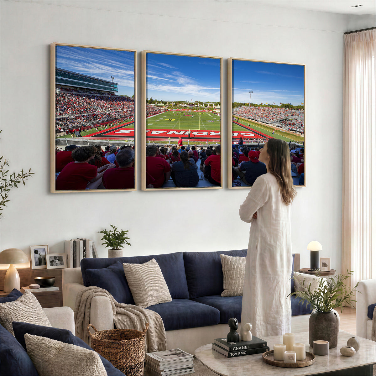 71475-PAN-FL-20X10 - Ball State Cardinals Football Team Print - Muncie Scheumann Stadium Wall Art Canvas Print