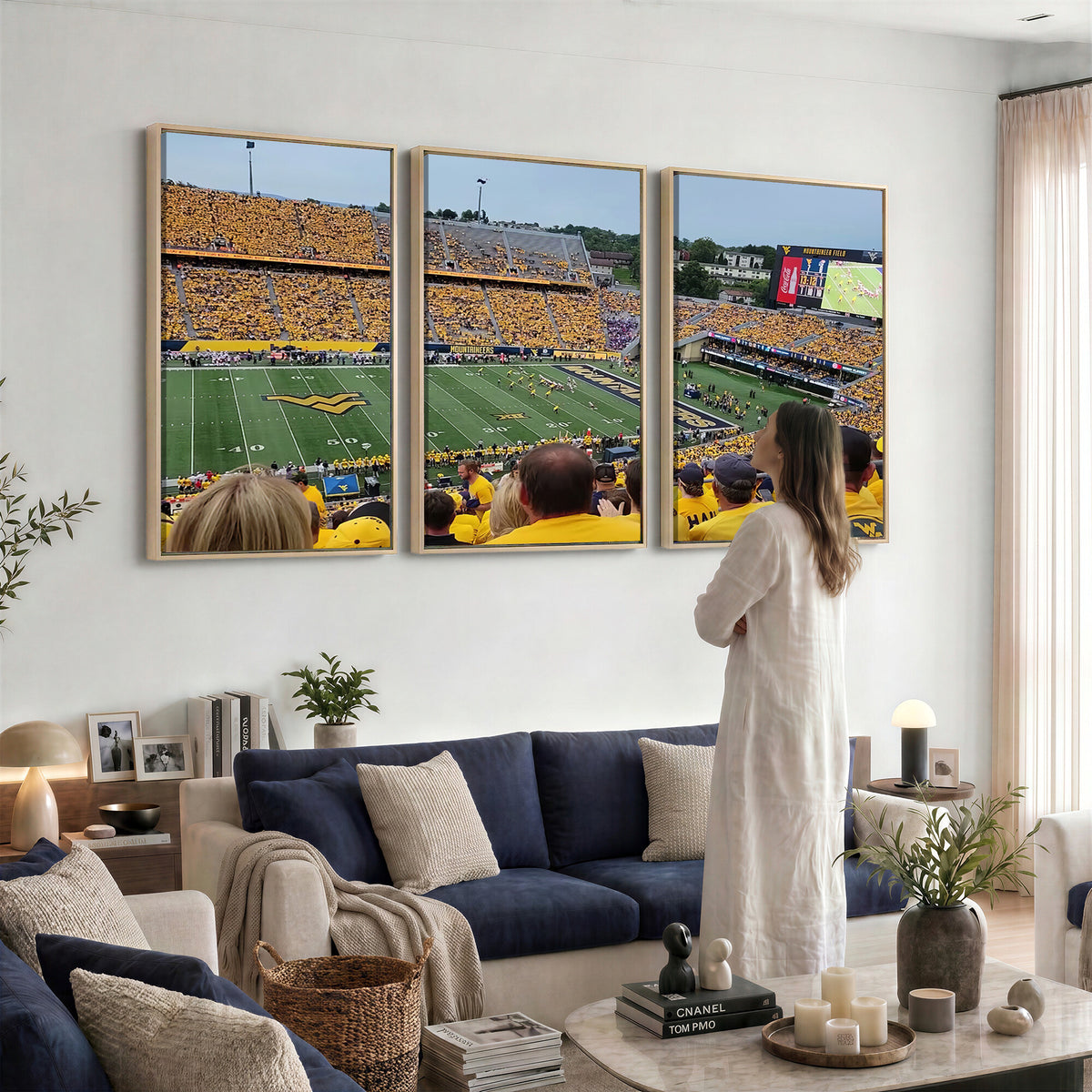 18056-MGV-CV-36X24 - Puskar Stadium Canvas Print Wall Art, Morgantown Print
