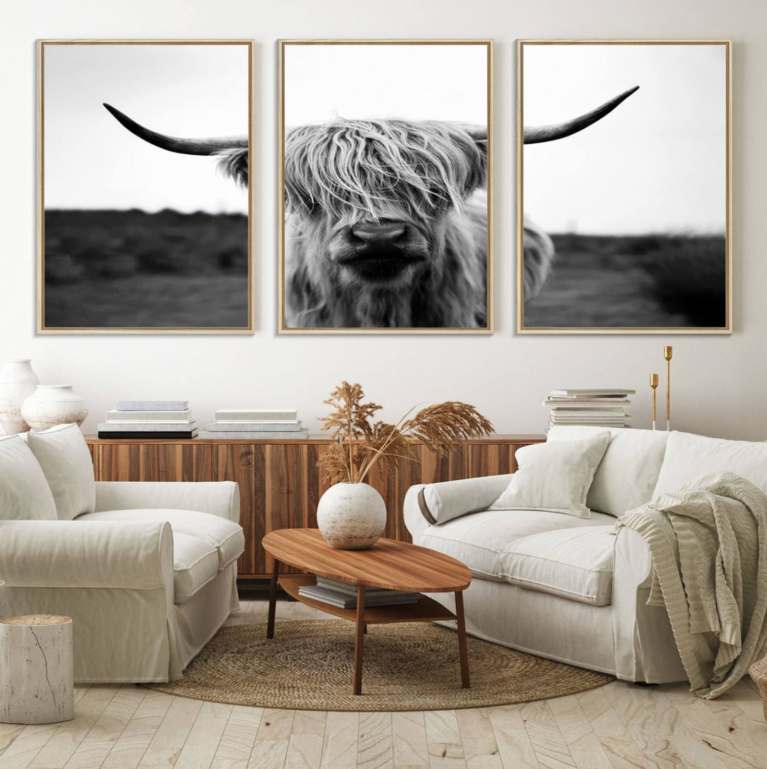 The Highland Cow Wall Art, a black and white farmhouse decor piece showcased as a triptych canvas print, graces a dark wall with its long-haired Scottish Highland cattle art print exuding rustic barn aesthetic.