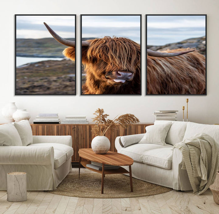 The Cuddly Highland Cow Canvas hangs, adding charm with its shaggy elegance.