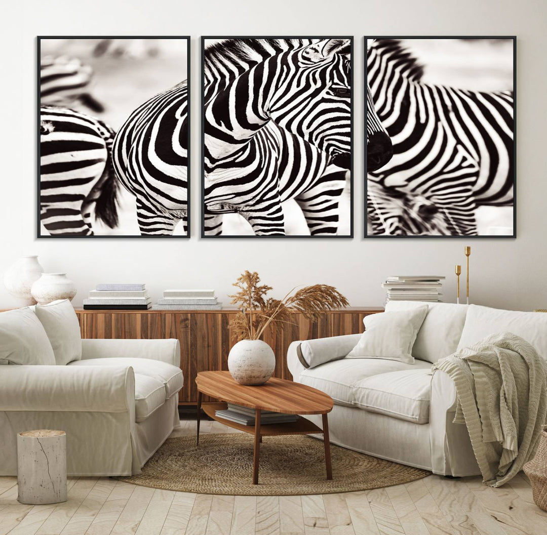 The Brilliant Zebra Photography Art Canvas Print hangs prominently on the wall.