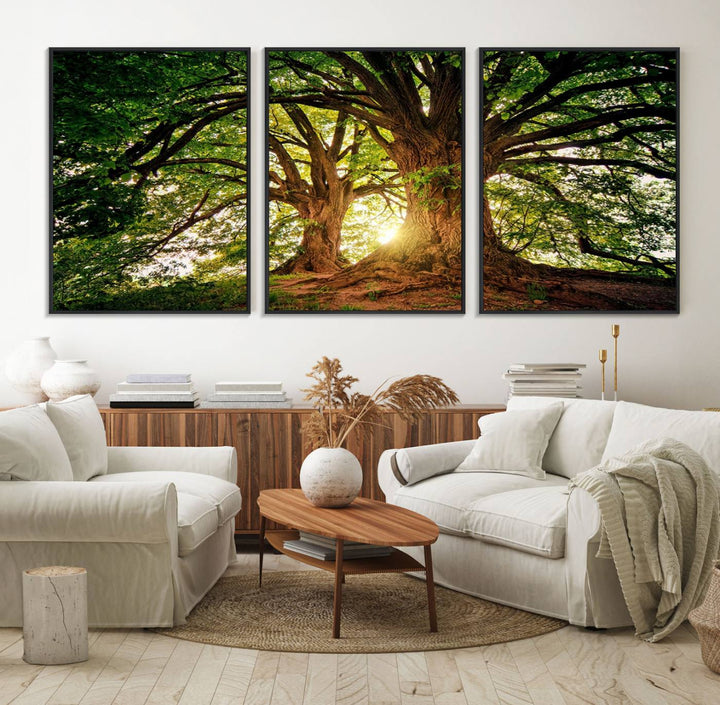 Majestic Ancient Tree Wall Art is illuminated by sunlit forest rays.