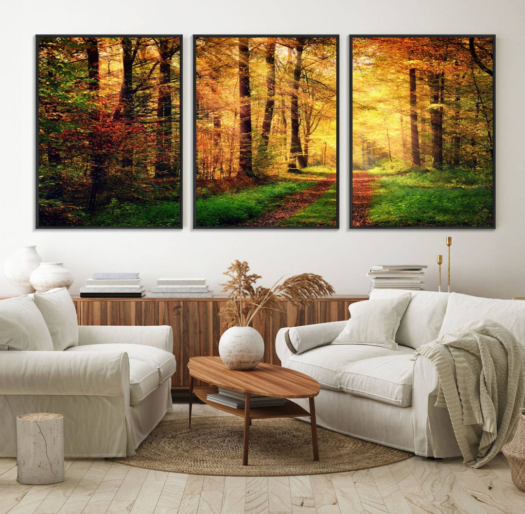 The Sunlight Through Trees Wall Art Canvas Print showcases a sunlit autumn forest and includes UV protection to ensure lasting vibrance.