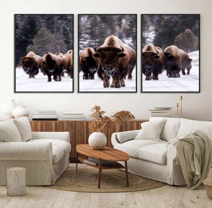 Bison Herd Canvas Wall Art.