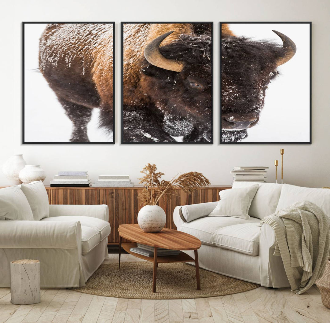 Bison Wall Art Canvas.