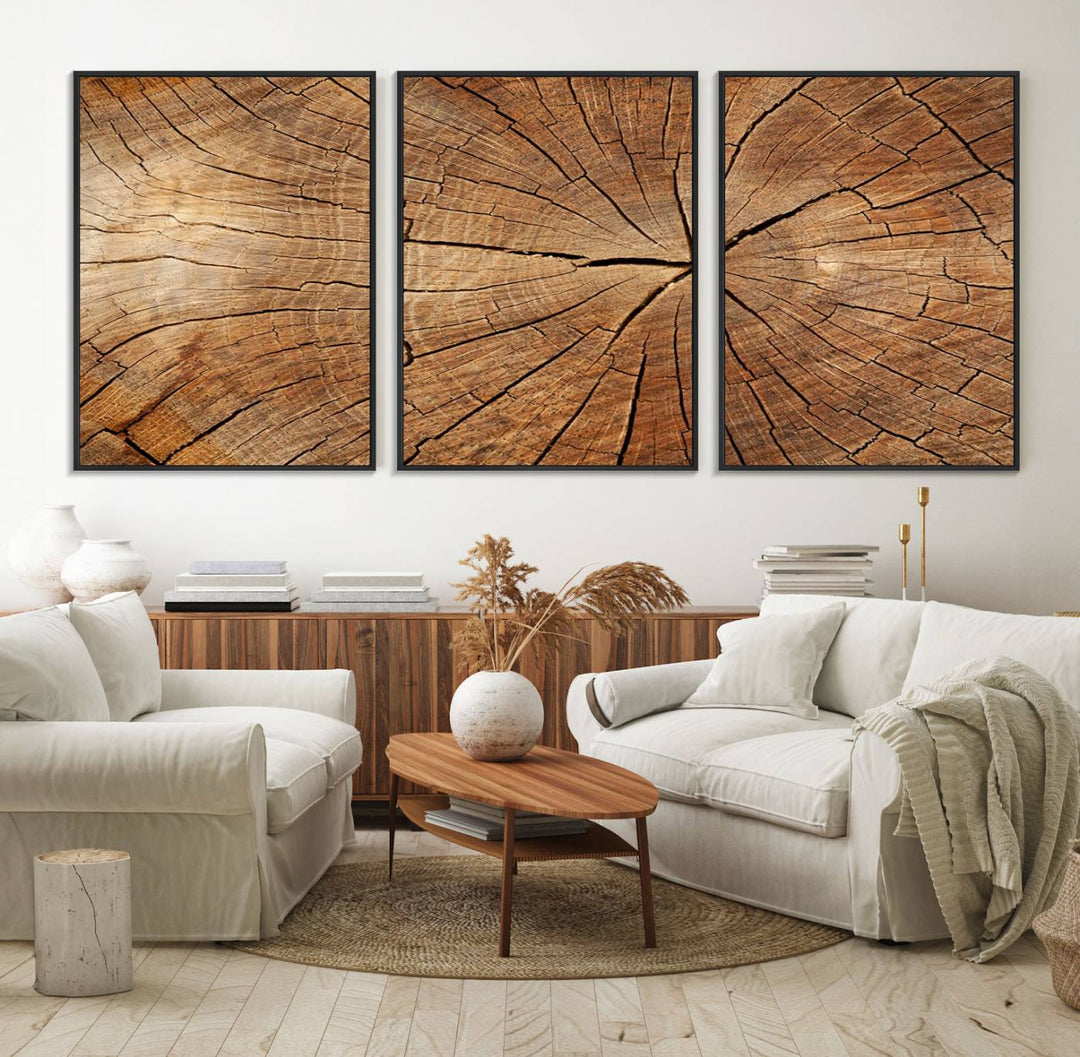 Tree Ring Canvas Art decorates a textured wall.