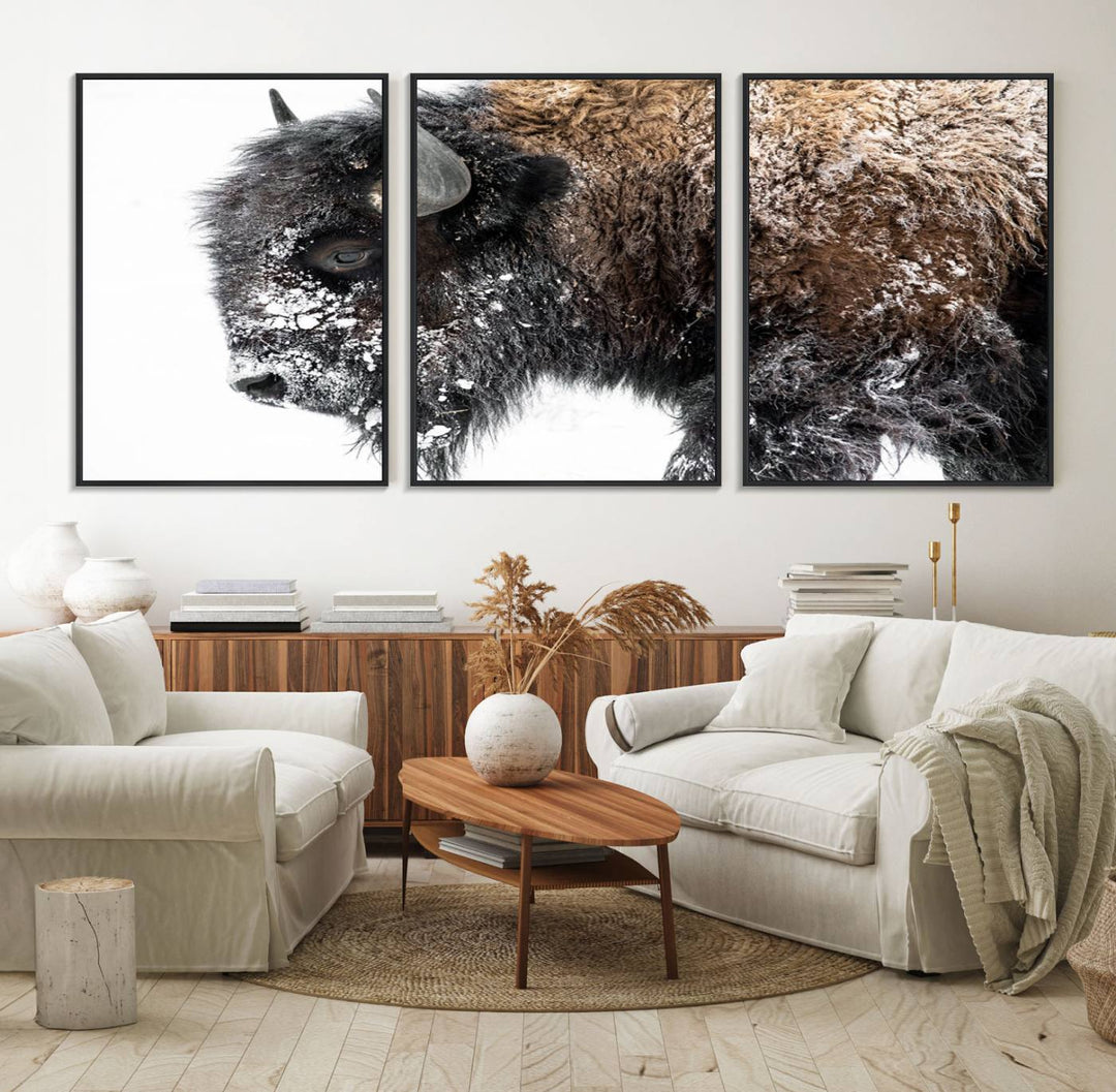 The American Bison Wall Art Print is prominently displayed on the wall.