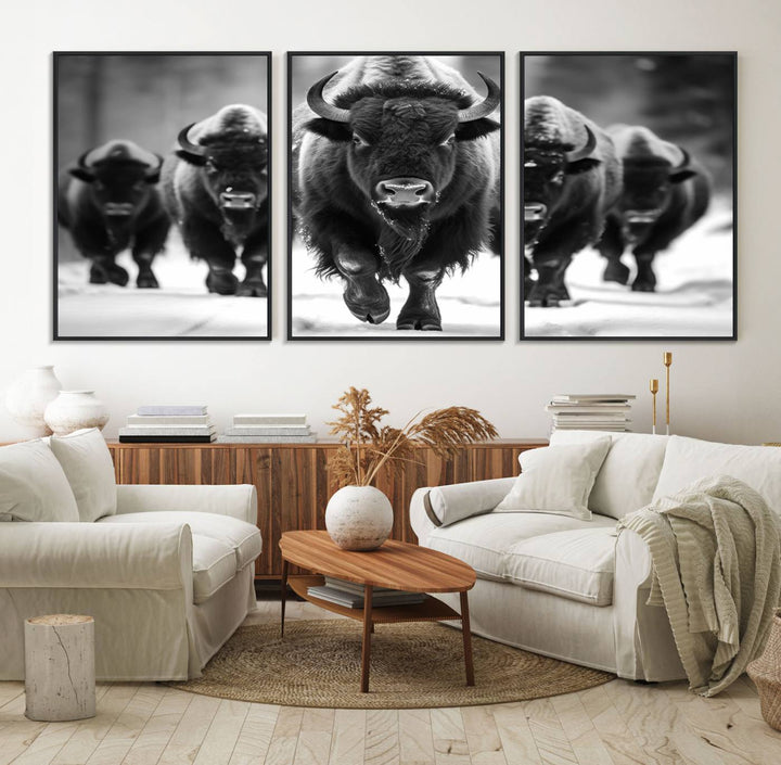 A black and white American Bison herd canvas print adorns the wall.